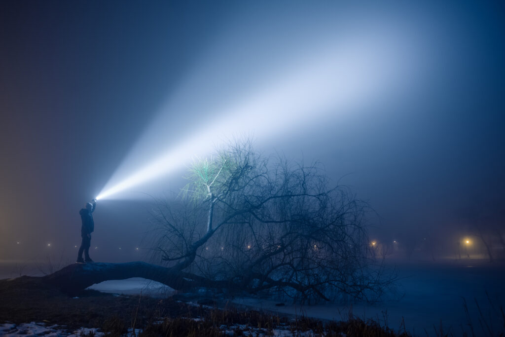 a torch lighting a fallen tree in the dark